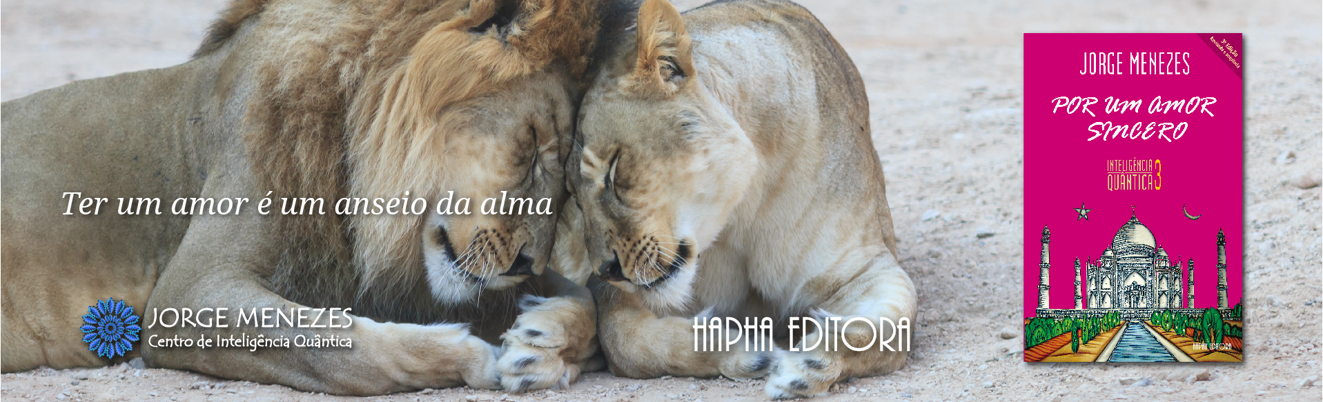 banners-site-2024-05