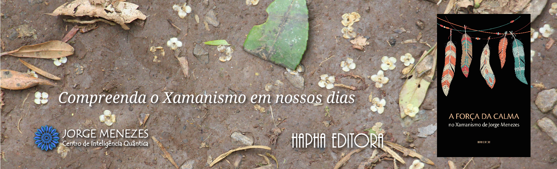 banners-site-2024-13